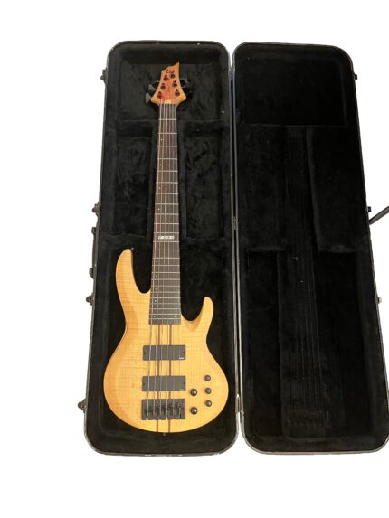 ESP LTD Deluxe B-1006