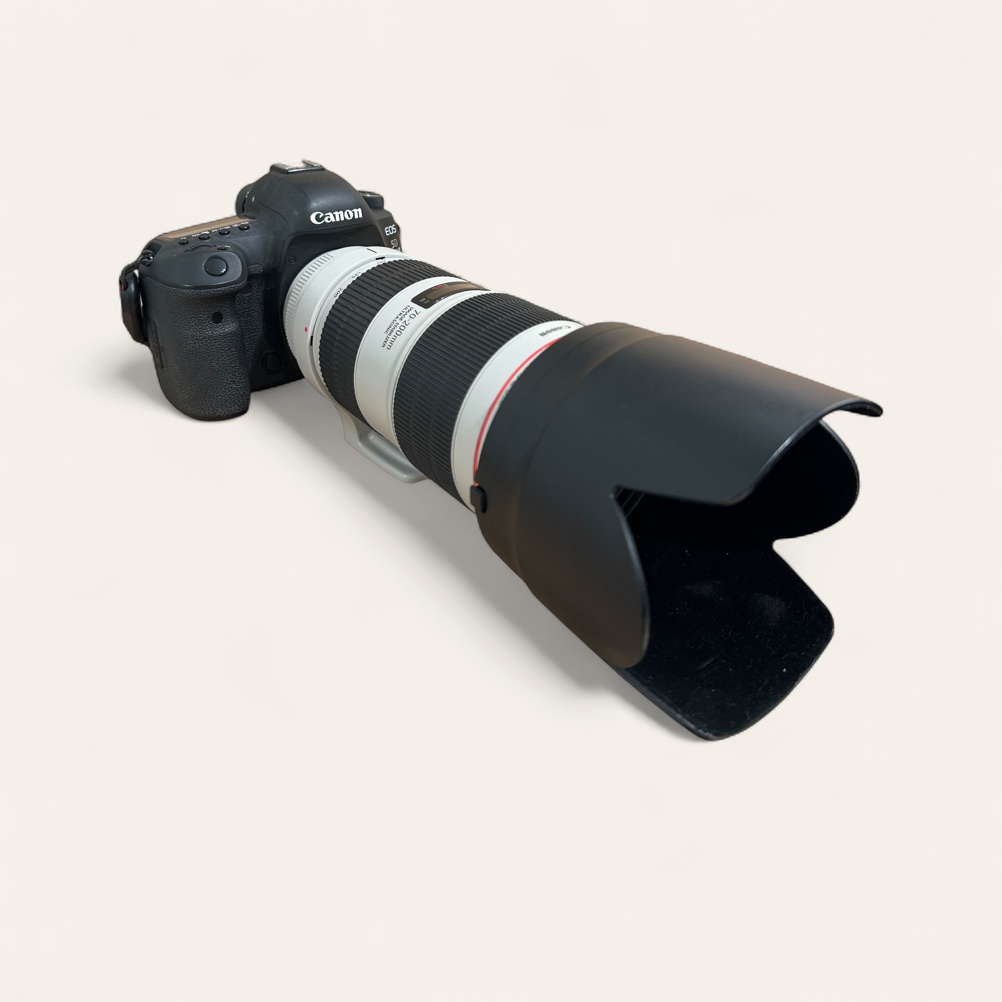 Canon EOS 5D Mark IV + Canon EF 70-200mm f/2.8 L IS III USM